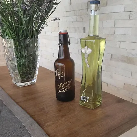 Niazi Ferienhaus Mošćenička Draga